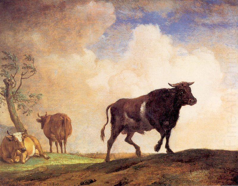 POTTER, Paulus The Bull china oil painting image